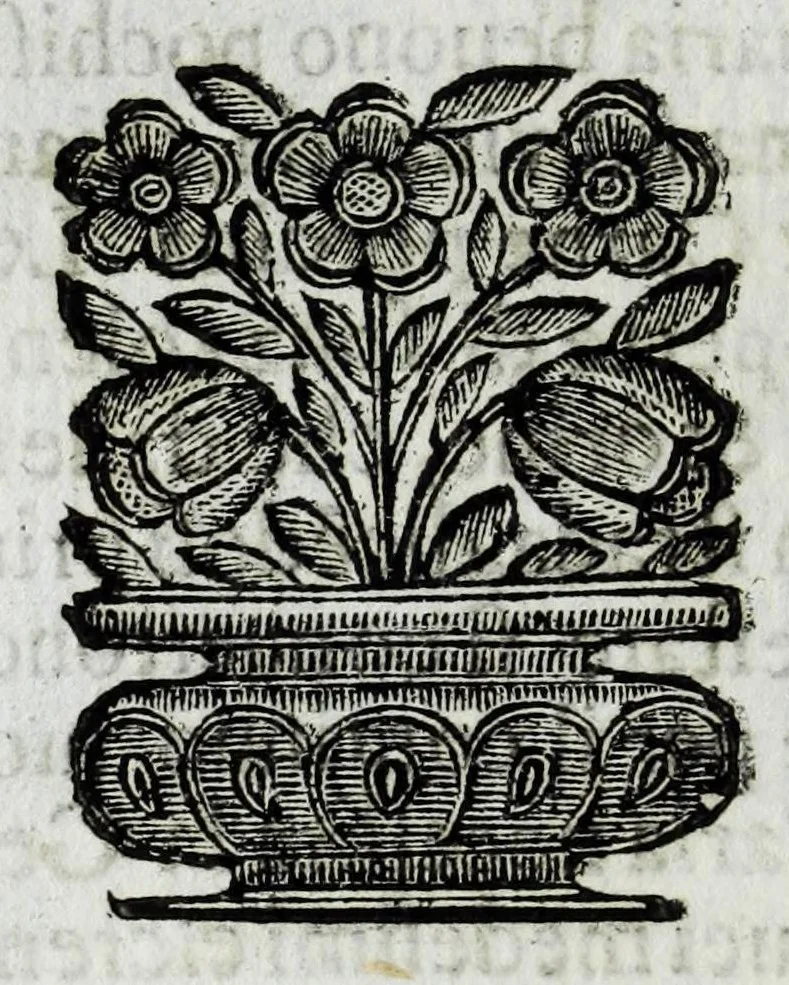 An illustration from Itinerario et sincero racconto del viaggio fatto dall'Altezza Serenissima del signor prencipe di Parma Alessandro Farnese per la Francia, Inghilterra, Olanda, Fiandra, e Spagne : doue di presente vi tiene il posto di capitan generale della caualleria per Sua Maestà Cattolica nell'esercito d'Estremadura contro Portugallo : et vi si contengono viaggi per diuersi regni, & sue distanze : descrittioni delle città principali d'essi, & numero d'habitanti : incoronatione di Carlo II Stuardo rè d'Inghilterra & sua caualcata : battaglie campali & assedij di piazze reali : discorso della republica di Colonia, e suo gouerno democratico : morte & seppoltura di Filippo IIII rè di Spagna, 1666, leaf 110