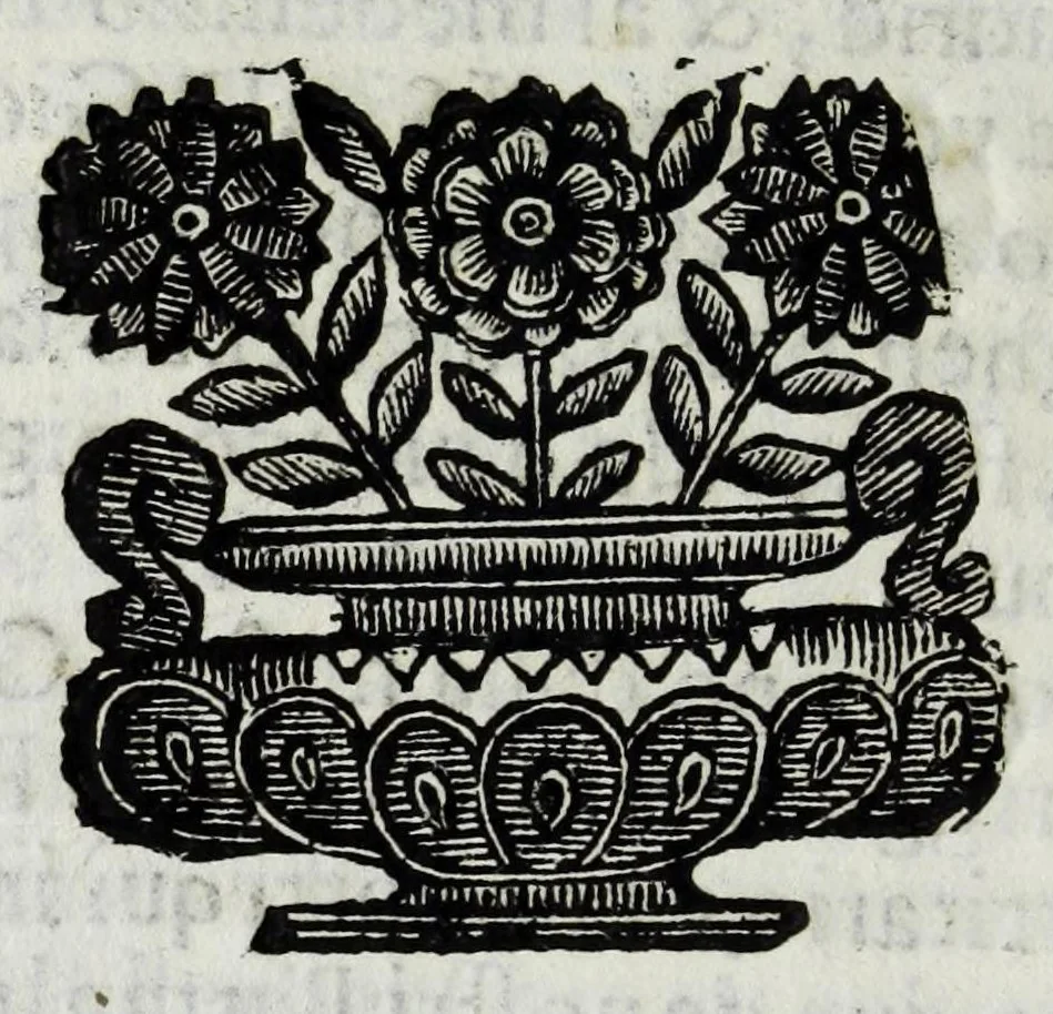 An illustration from Itinerario et sincero racconto del viaggio fatto dall'Altezza Serenissima del signor prencipe di Parma Alessandro Farnese per la Francia, Inghilterra, Olanda, Fiandra, e Spagne : doue di presente vi tiene il posto di capitan generale della caualleria per Sua Maestà Cattolica nell'esercito d'Estremadura contro Portugallo : et vi si contengono viaggi per diuersi regni, & sue distanze : descrittioni delle città principali d'essi, & numero d'habitanti : incoronatione di Carlo II Stuardo rè d'Inghilterra & sua caualcata : battaglie campali & assedij di piazze reali : discorso della republica di Colonia, e suo gouerno democratico : morte & seppoltura di Filippo IIII rè di Spagna, 1666, leaf 140