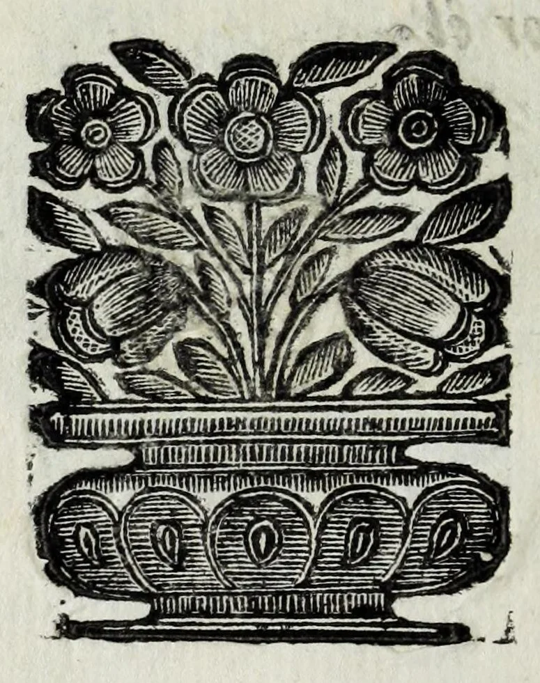An illustration from Itinerario et sincero racconto del viaggio fatto dall'Altezza Serenissima del signor prencipe di Parma Alessandro Farnese per la Francia, Inghilterra, Olanda, Fiandra, e Spagne : doue di presente vi tiene il posto di capitan generale della caualleria per Sua Maestà Cattolica nell'esercito d'Estremadura contro Portugallo : et vi si contengono viaggi per diuersi regni, & sue distanze : descrittioni delle città principali d'essi, & numero d'habitanti : incoronatione di Carlo II Stuardo rè d'Inghilterra & sua caualcata : battaglie campali & assedij di piazze reali : discorso della republica di Colonia, e suo gouerno democratico : morte & seppoltura di Filippo IIII rè di Spagna, 1666, leaf 146