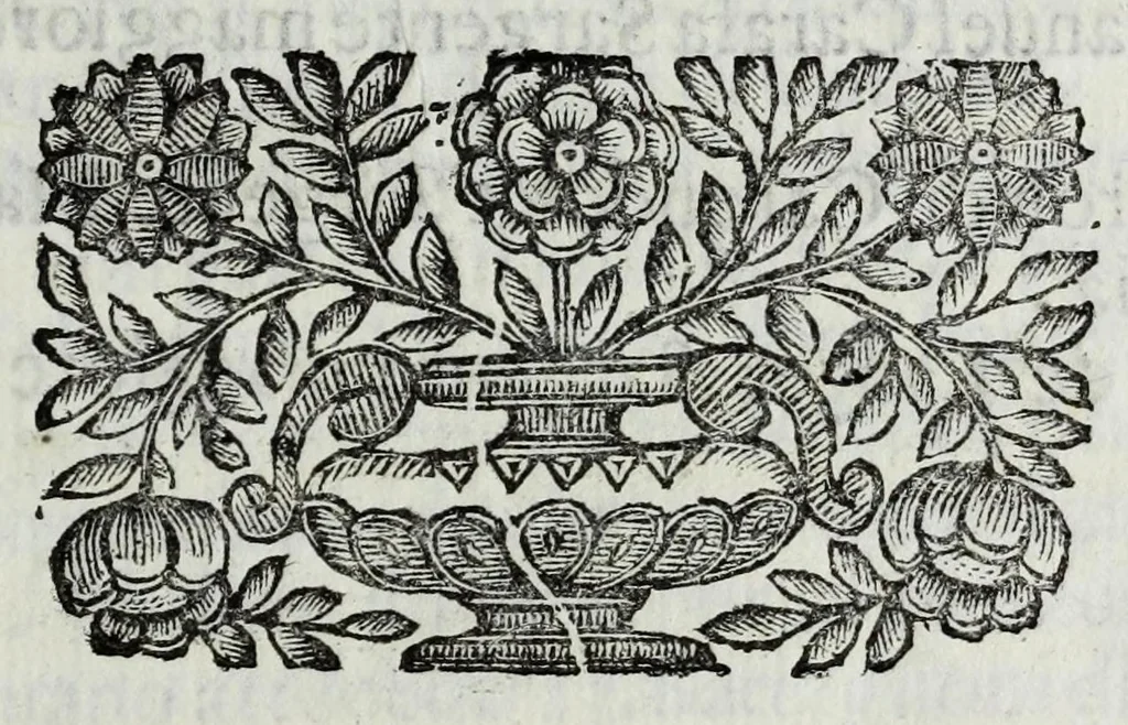 An illustration from Itinerario et sincero racconto del viaggio fatto dall'Altezza Serenissima del signor prencipe di Parma Alessandro Farnese per la Francia, Inghilterra, Olanda, Fiandra, e Spagne : doue di presente vi tiene il posto di capitan generale della caualleria per Sua Maestà Cattolica nell'esercito d'Estremadura contro Portugallo : et vi si contengono viaggi per diuersi regni, & sue distanze : descrittioni delle città principali d'essi, & numero d'habitanti : incoronatione di Carlo II Stuardo rè d'Inghilterra & sua caualcata : battaglie campali & assedij di piazze reali : discorso della republica di Colonia, e suo gouerno democratico : morte & seppoltura di Filippo IIII rè di Spagna, 1666, leaf 159