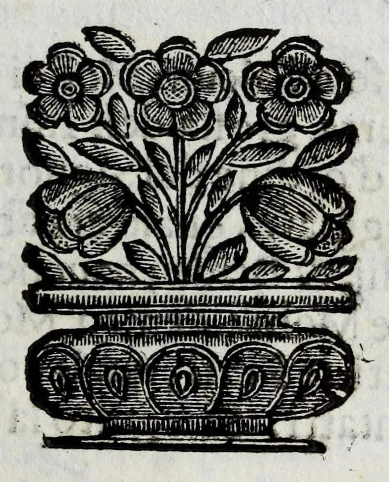 An illustration from Itinerario et sincero racconto del viaggio fatto dall'Altezza Serenissima del signor prencipe di Parma Alessandro Farnese per la Francia, Inghilterra, Olanda, Fiandra, e Spagne : doue di presente vi tiene il posto di capitan generale della caualleria per Sua Maestà Cattolica nell'esercito d'Estremadura contro Portugallo : et vi si contengono viaggi per diuersi regni, & sue distanze : descrittioni delle città principali d'essi, & numero d'habitanti : incoronatione di Carlo II Stuardo rè d'Inghilterra & sua caualcata : battaglie campali & assedij di piazze reali : discorso della republica di Colonia, e suo gouerno democratico : morte & seppoltura di Filippo IIII rè di Spagna, 1666, leaf 163