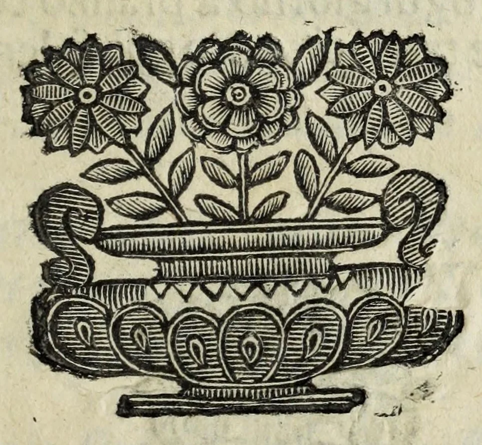 An illustration from Itinerario et sincero racconto del viaggio fatto dall'Altezza Serenissima del signor prencipe di Parma Alessandro Farnese per la Francia, Inghilterra, Olanda, Fiandra, e Spagne : doue di presente vi tiene il posto di capitan generale della caualleria per Sua Maestà Cattolica nell'esercito d'Estremadura contro Portugallo : et vi si contengono viaggi per diuersi regni, & sue distanze : descrittioni delle città principali d'essi, & numero d'habitanti : incoronatione di Carlo II Stuardo rè d'Inghilterra & sua caualcata : battaglie campali & assedij di piazze reali : discorso della republica di Colonia, e suo gouerno democratico : morte & seppoltura di Filippo IIII rè di Spagna, 1666, leaf 177