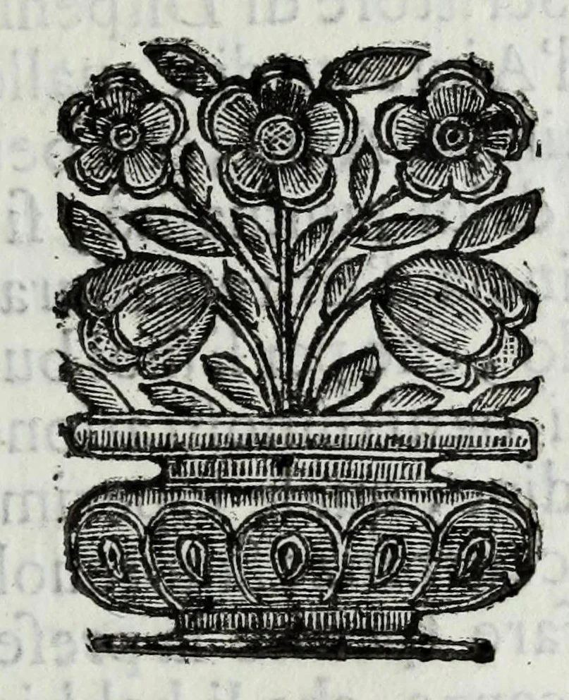 An illustration from Itinerario et sincero racconto del viaggio fatto dall'Altezza Serenissima del signor prencipe di Parma Alessandro Farnese per la Francia, Inghilterra, Olanda, Fiandra, e Spagne : doue di presente vi tiene il posto di capitan generale della caualleria per Sua Maestà Cattolica nell'esercito d'Estremadura contro Portugallo : et vi si contengono viaggi per diuersi regni, & sue distanze : descrittioni delle città principali d'essi, & numero d'habitanti : incoronatione di Carlo II Stuardo rè d'Inghilterra & sua caualcata : battaglie campali & assedij di piazze reali : discorso della republica di Colonia, e suo gouerno democratico : morte & seppoltura di Filippo IIII rè di Spagna, 1666, leaf 183