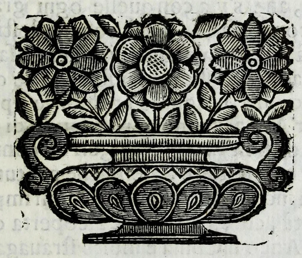 An illustration from Itinerario et sincero racconto del viaggio fatto dall'Altezza Serenissima del signor prencipe di Parma Alessandro Farnese per la Francia, Inghilterra, Olanda, Fiandra, e Spagne : doue di presente vi tiene il posto di capitan generale della caualleria per Sua Maestà Cattolica nell'esercito d'Estremadura contro Portugallo : et vi si contengono viaggi per diuersi regni, & sue distanze : descrittioni delle città principali d'essi, & numero d'habitanti : incoronatione di Carlo II Stuardo rè d'Inghilterra & sua caualcata : battaglie campali & assedij di piazze reali : discorso della republica di Colonia, e suo gouerno democratico : morte & seppoltura di Filippo IIII rè di Spagna, 1666, leaf 25