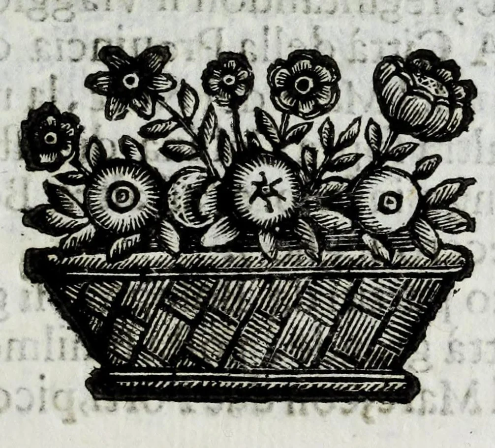 An illustration from Itinerario et sincero racconto del viaggio fatto dall'Altezza Serenissima del signor prencipe di Parma Alessandro Farnese per la Francia, Inghilterra, Olanda, Fiandra, e Spagne : doue di presente vi tiene il posto di capitan generale della caualleria per Sua Maestà Cattolica nell'esercito d'Estremadura contro Portugallo : et vi si contengono viaggi per diuersi regni, & sue distanze : descrittioni delle città principali d'essi, & numero d'habitanti : incoronatione di Carlo II Stuardo rè d'Inghilterra & sua caualcata : battaglie campali & assedij di piazze reali : discorso della republica di Colonia, e suo gouerno democratico : morte & seppoltura di Filippo IIII rè di Spagna, 1666, leaf 39