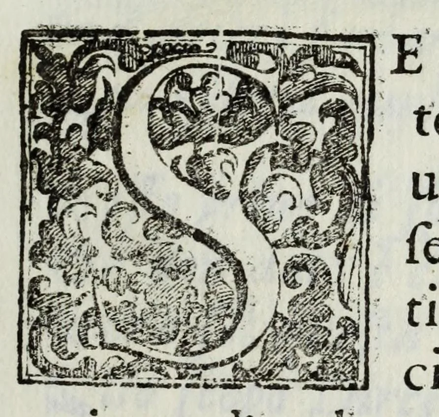 An illustration from Itinerario et sincero racconto del viaggio fatto dall'Altezza Serenissima del signor prencipe di Parma Alessandro Farnese per la Francia, Inghilterra, Olanda, Fiandra, e Spagne : doue di presente vi tiene il posto di capitan generale della caualleria per Sua Maestà Cattolica nell'esercito d'Estremadura contro Portugallo : et vi si contengono viaggi per diuersi regni, & sue distanze : descrittioni delle città principali d'essi, & numero d'habitanti : incoronatione di Carlo II Stuardo rè d'Inghilterra & sua caualcata : battaglie campali & assedij di piazze reali : discorso della republica di Colonia, e suo gouerno democratico : morte & seppoltura di Filippo IIII rè di Spagna, 1666, leaf 7