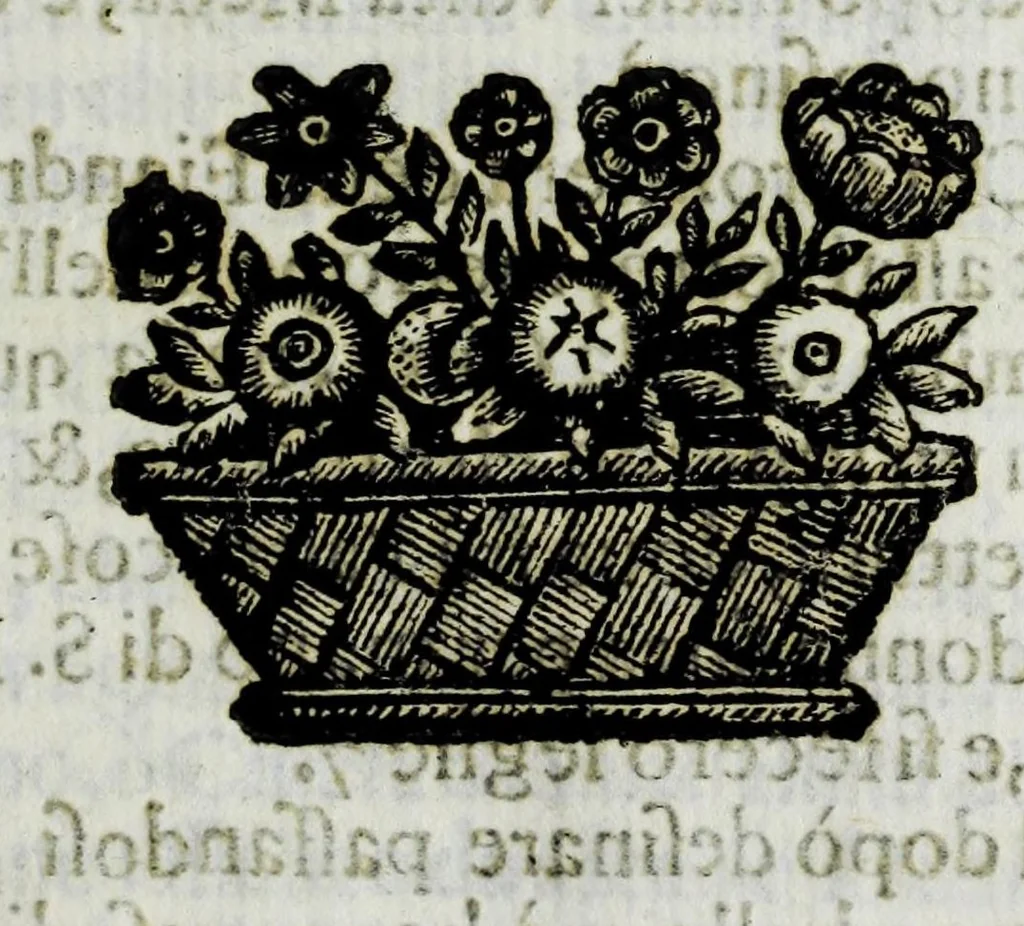 An illustration from Itinerario et sincero racconto del viaggio fatto dall'Altezza Serenissima del signor prencipe di Parma Alessandro Farnese per la Francia, Inghilterra, Olanda, Fiandra, e Spagne : doue di presente vi tiene il posto di capitan generale della caualleria per Sua Maestà Cattolica nell'esercito d'Estremadura contro Portugallo : et vi si contengono viaggi per diuersi regni, & sue distanze : descrittioni delle città principali d'essi, & numero d'habitanti : incoronatione di Carlo II Stuardo rè d'Inghilterra & sua caualcata : battaglie campali & assedij di piazze reali : discorso della republica di Colonia, e suo gouerno democratico : morte & seppoltura di Filippo IIII rè di Spagna, 1666, leaf 75