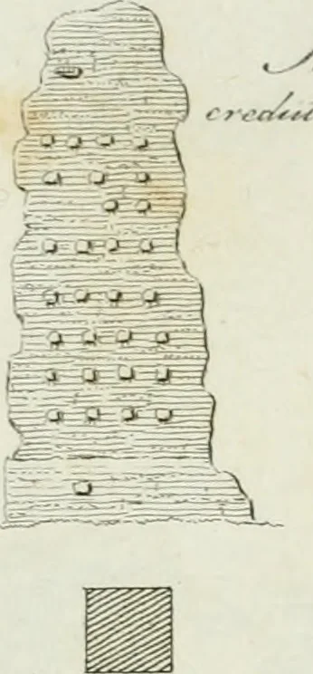 An illustration from Itinerario figurato degli edifizi più rimarchevoli di Roma, 1835, leaf 214