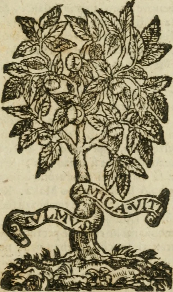 An illustration from Itinerario, o vero noua descrittione de' viaggi principali d'Italia, nella quale si hà piena notitia di tutte le cose più notabili, & degne d'ester vedute, 1669, leaf 646