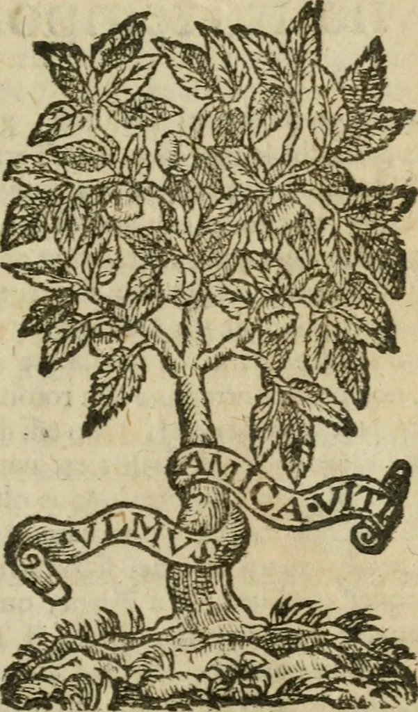 An illustration from Itinerario, o vero noua descrittione de' viaggi principali d'Italia, nella quale si hà piena notitia di tutte le cose più notabili, & degne d'ester vedute, 1669, leaf 660