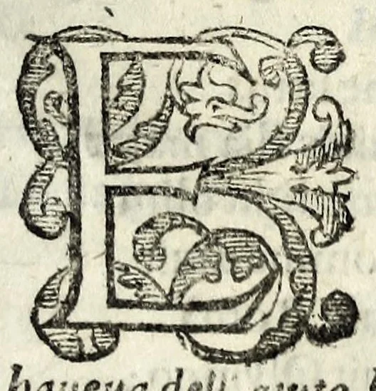 An illustration from Itinerario, overo, Nova descrittione de'viaggi principali d'Italia : nella quale si hà piena notitia di tutte le cose più notabili, & degne d'essere vedute, 1629, leaf 355