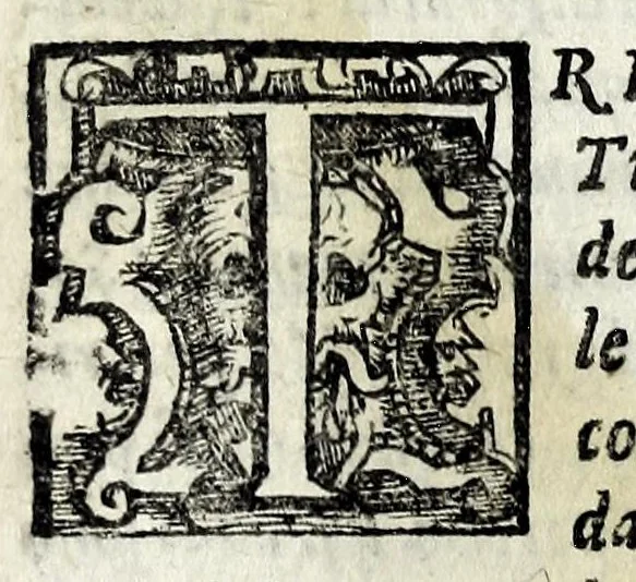 An illustration from Itinerario, overo, Nova descrittione de'viaggi principali d'Italia : nella quale si hà piena notitia di tutte le cose più notabili, & degne d'essere vedute, 1629, leaf 37