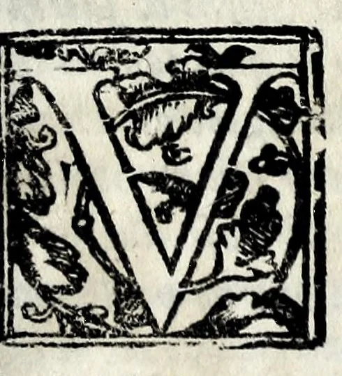 An illustration from Itinerario, overo, Nova descrittione de'viaggi principali d'Italia : nella quale si hà piena notitia di tutte le cose più notabili, & degne d'essere vedute, 1629, leaf 577