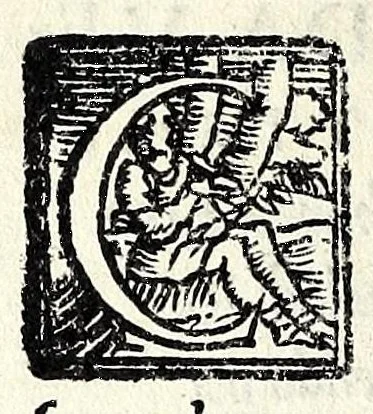An illustration from Itinerario, o vero, Viaggio da Venetia a Roma : con tvtte le città, terre, & castella per strade piu habitate, con breue dittione delle sette chiese principali di Roma, & altre diuotioni notabili : seguendo poi per ordine di Roma fino a Santo Iacobo in Galitia, Finibus terre, la Barca il Padrone, & santo Saluatore, per piu d'vna via che far si può, con il nome pure delli paesi, delle cittati & terre, cosi maritime come fra terra, reliquie, & chiese principali che per camino si trouano, montagne, heremi, fiumi, & mari famosi che veder con uiensi, fedelmente descritto, si come dall'auttore è stato cercato, & veduto, 1550, leaf 8
