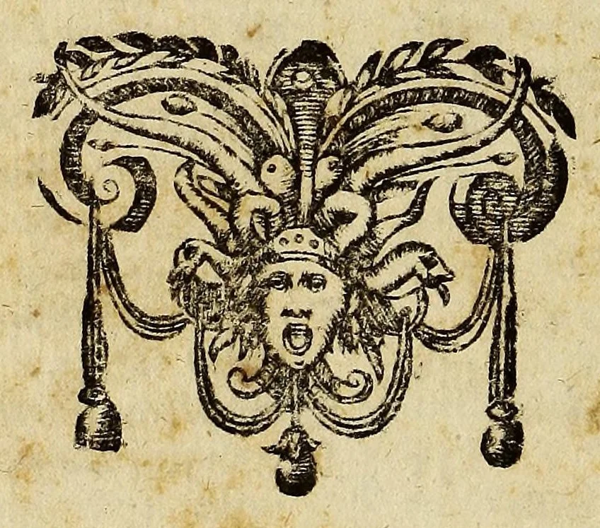 An illustration from Itinerarium Germaniae, Galliae; Angliae; Italiae;, 1612, leaf 470