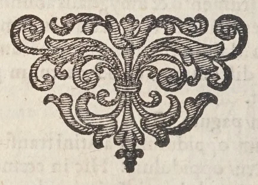 An illustration from Itinerarium Germaniae, Galliae, Angliae, Italiae / scriptum à Paulo Hentznero JC. ... ;, 1612, leaf 208