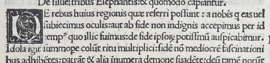 An illustration from Itinerariu[m] Portugalle[n]siu[m] e Lusitania in India[m] [et] inde in occidentem [et] demum ad aquilonem, 1508, leaf 77