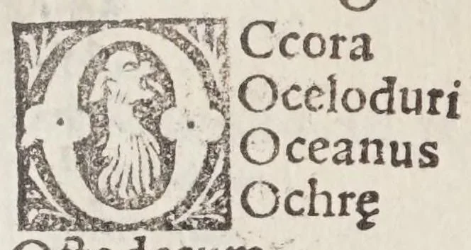 An illustration from Itinerarivm prouinciarum omniũ Antonini Augusti : cum fragmento eiusdem, necnon indice haudquaq[uam] aspernãdo, 1512, leaf 274