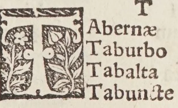 An illustration from Itinerarivm prouinciarum omniũ Antonini Augusti : cum fragmento eiusdem, necnon indice haudquaq[uam] aspernãdo, 1512, leaf 295