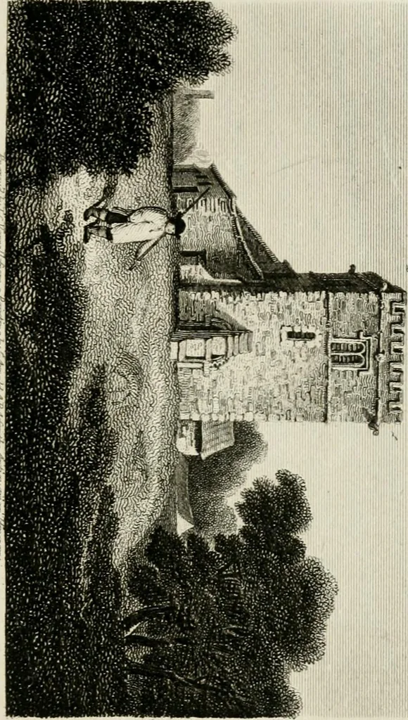 An illustration from The antiquarian itinerary, comprising specimens of architecture, monastic, castellated, and domestic; with other vestiges of antiquity in Great Britain. Accompanied with descriptions, 1815, leaf 166
