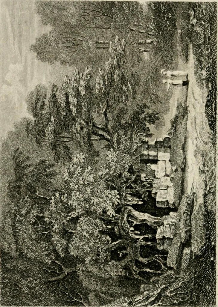 An illustration from The antiquarian itinerary, comprising specimens of architecture, monastic, castellated, and domestic; with other vestiges of antiquity in Great Britain. Accompanied with descriptions, 1815, leaf 83