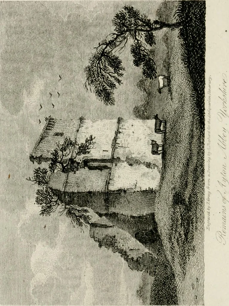 An illustration from The antiquarian itinerary, comprising specimens of architecture, monastic, castellated, and domestic; with other vestiges of antiquity in Great Britain. Accompanied with descriptions, 1815, leaf 157