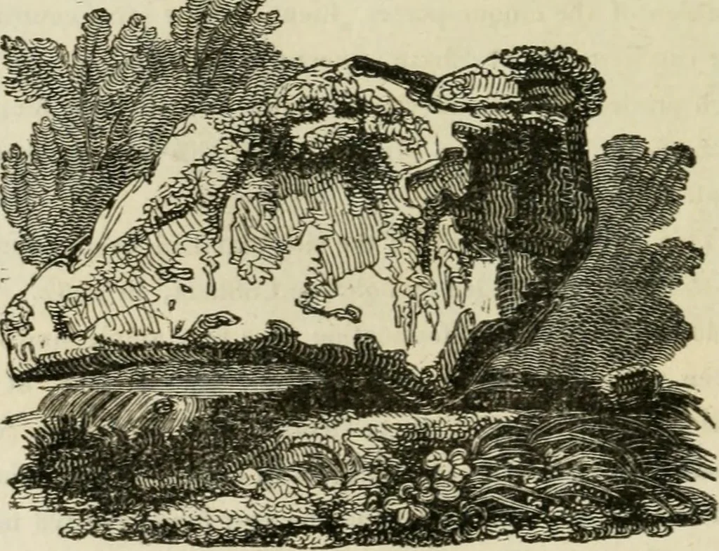 An illustration from The antiquarian itinerary, comprising specimens of architecture, monastic, castellated, and domestic; with other vestiges of antiquity in Great Britain. Accompanied with descriptions, 1815, leaf 79