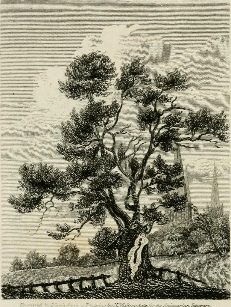An illustration from The antiquarian itinerary, comprising specimens of architecture, monastic, castellated, and domestic; with other vestiges of antiquity in Great Britain. Accompanied with descriptions, 1815, leaf 47
