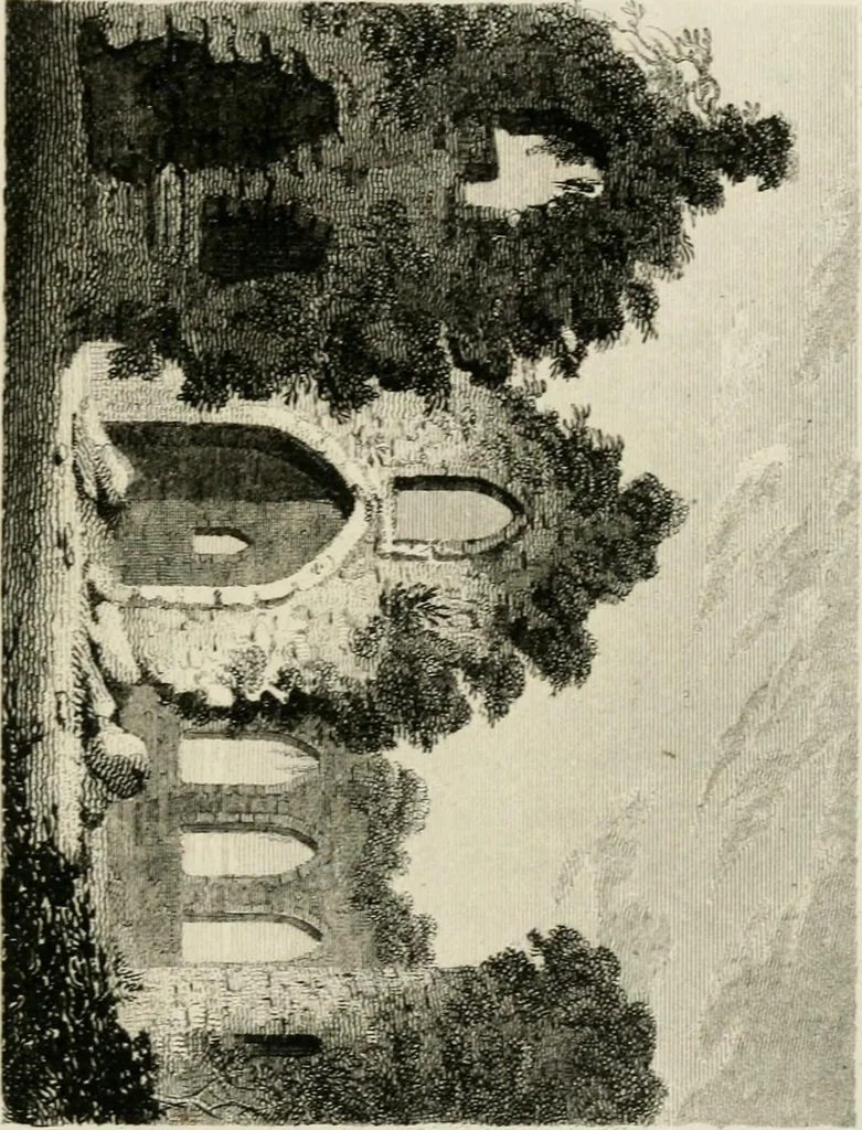 An illustration from The antiquarian itinerary, comprising specimens of architecture, monastic, castellated, and domestic; with other vestiges of antiquity in Great Britain. Accompanied with descriptions, 1815, leaf 66