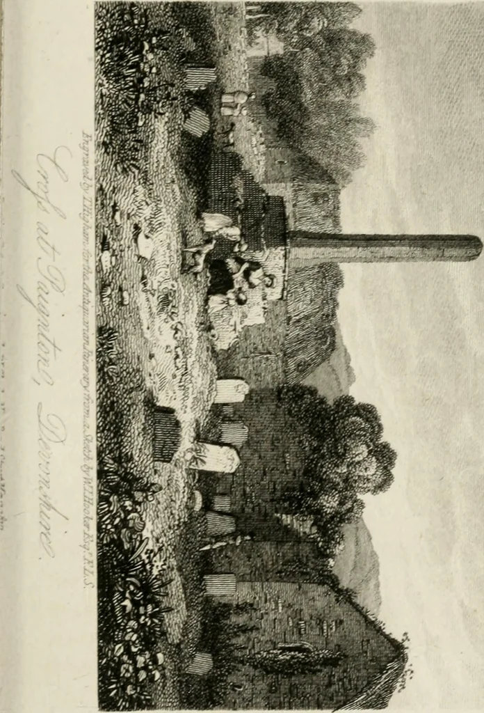 An illustration from The antiquarian itinerary, comprising specimens of architecture, monastic, castellated, and domestic; with other vestiges of antiquity in Great Britain. Accompanied with descriptions, 1815, leaf 100