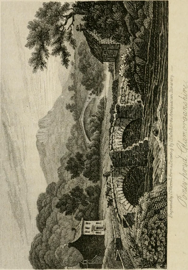 An illustration from The antiquarian itinerary, comprising specimens of architecture, monastic, castellated, and domestic; with other vestiges of antiquity in Great Britain. Accompanied with descriptions, 1815, leaf 133