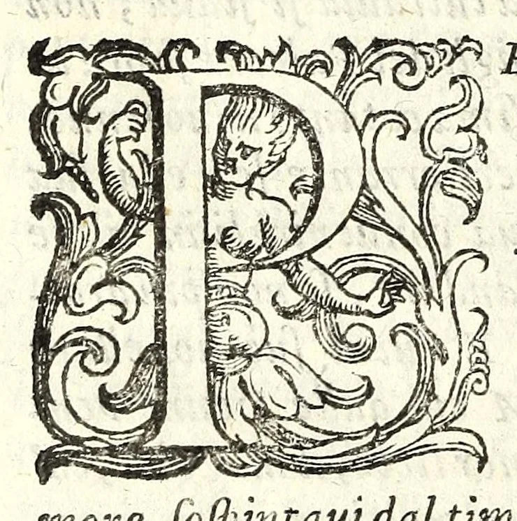 An illustration from I trattenimenti, 1591, leaf 266