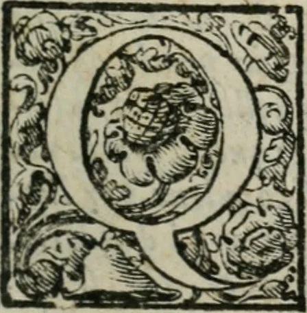 An illustration from I trattenimenti di Scipion Bargagli : dove da vaghe donne e da giouani huomini rappresentati sono honesti e diletteuoli givochi: narrate novelle; e cantate alcune amorose canzonette, 1587, leaf 12