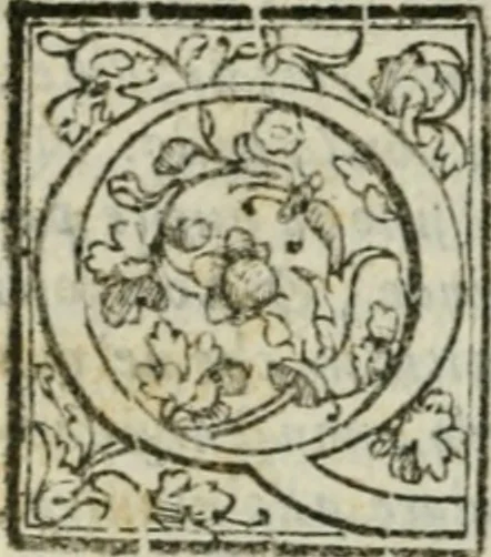 An illustration from I trattenimenti di Scipion Bargagli : dove da vaghe donne e da giouani huomini rappresentati sono honesti e diletteuoli givochi: narrate novelle; e cantate alcune amorose canzonette, 1587, leaf 247