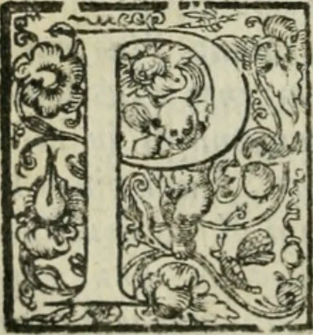 An illustration from I trattenimenti di Scipion Bargagli : dove da vaghe donne e da giouani huomini rappresentati sono honesti e diletteuoli givochi: narrate novelle; e cantate alcune amorose canzonette, 1587, leaf 267