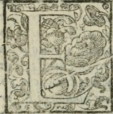An illustration from I trattenimenti di Scipion Bargagli : dove da vaghe donne e da giouani huomini rappresentati sono honesti e diletteuoli givochi: narrate novelle; e cantate alcune amorose canzonette, 1587, leaf 61