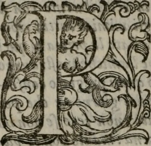 An illustration from I trattenimenti di Scipion Bargagli : dove da vaghe donne e da giovani huomini rappresentati sono honesti e dilettevoli giuochi, narrate novelle, e cantate alcune amorose canzonette : con due copiose tavole, una de' principali titoli & l'altra delle cose notabili, 1591, leaf 219