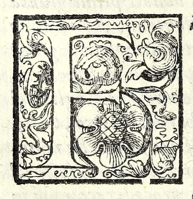 An illustration from I trattenimenti di Scipion Bargagli : dove da vaghe donne e da giouani huomini rappresentati sono honesti e diletteuoli givochi : narrate novelle : e cantate alcune amorose canzonette, 1587, leaf 106