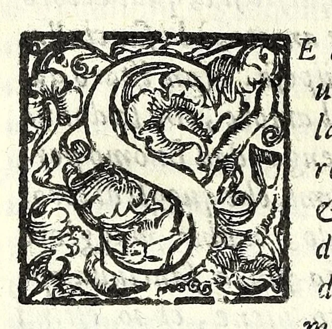An illustration from I trattenimenti di Scipion Bargagli : dove da vaghe donne e da giouani huomini rappresentati sono honesti e diletteuoli givochi : narrate novelle : e cantate alcune amorose canzonette, 1587, leaf 118
