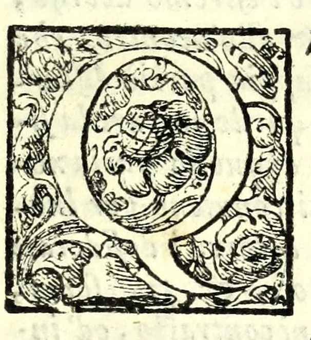 An illustration from I trattenimenti di Scipion Bargagli : dove da vaghe donne e da giouani huomini rappresentati sono honesti e diletteuoli givochi : narrate novelle : e cantate alcune amorose canzonette, 1587, leaf 13