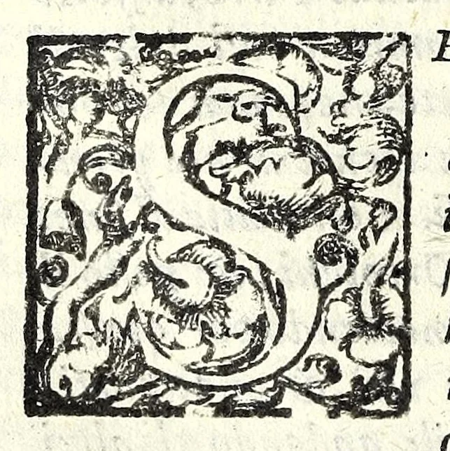 An illustration from I trattenimenti di Scipion Bargagli : dove da vaghe donne e da giouani huomini rappresentati sono honesti e diletteuoli givochi : narrate novelle : e cantate alcune amorose canzonette, 1587, leaf 136