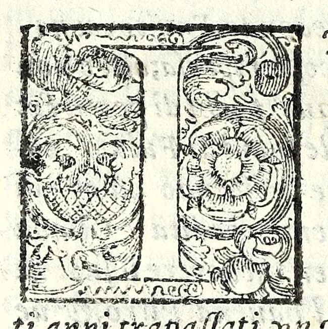 An illustration from I trattenimenti di Scipion Bargagli : dove da vaghe donne e da giouani huomini rappresentati sono honesti e diletteuoli givochi : narrate novelle : e cantate alcune amorose canzonette, 1587, leaf 166