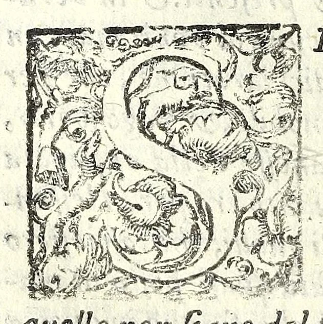 An illustration from I trattenimenti di Scipion Bargagli : dove da vaghe donne e da giouani huomini rappresentati sono honesti e diletteuoli givochi : narrate novelle : e cantate alcune amorose canzonette, 1587, leaf 182