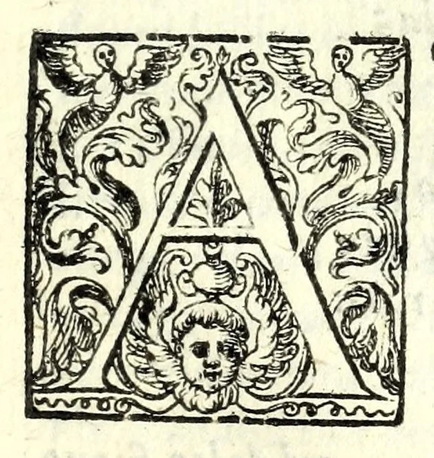 An illustration from I trattenimenti di Scipion Bargagli : dove da vaghe donne e da giouani huomini rappresentati sono honesti e diletteuoli givochi : narrate novelle : e cantate alcune amorose canzonette, 1587, leaf 215
