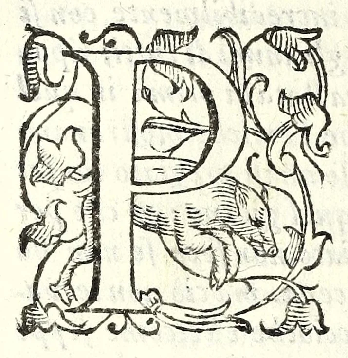 An illustration from I trattenimenti di Scipion Bargagli : dove da vaghe donne e da giouani huomini rappresentati sono honesti e diletteuoli givochi : narrate novelle : e cantate alcune amorose canzonette, 1587, leaf 222