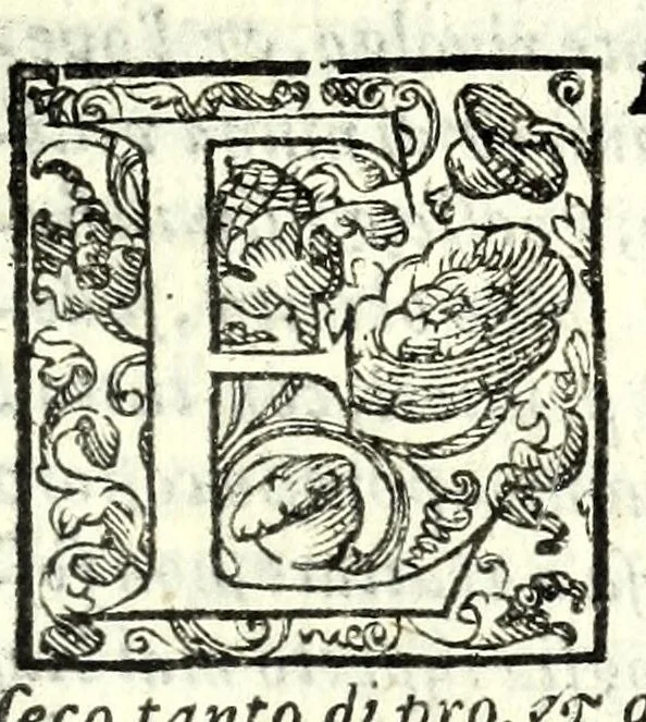 An illustration from I trattenimenti di Scipion Bargagli : dove da vaghe donne e da giouani huomini rappresentati sono honesti e diletteuoli givochi : narrate novelle : e cantate alcune amorose canzonette, 1587, leaf 223
