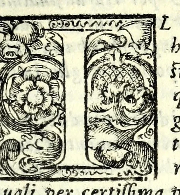 An illustration from I trattenimenti di Scipion Bargagli : dove da vaghe donne e da giouani huomini rappresentati sono honesti e diletteuoli givochi : narrate novelle : e cantate alcune amorose canzonette, 1587, leaf 231
