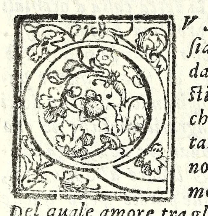 An illustration from I trattenimenti di Scipion Bargagli : dove da vaghe donne e da giouani huomini rappresentati sono honesti e diletteuoli givochi : narrate novelle : e cantate alcune amorose canzonette, 1587, leaf 248