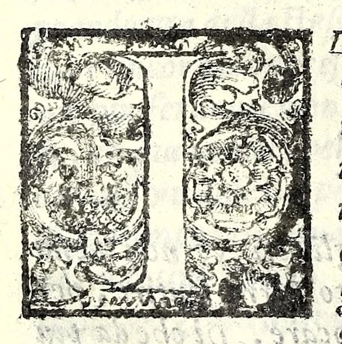 An illustration from I trattenimenti di Scipion Bargagli : dove da vaghe donne e da giouani huomini rappresentati sono honesti e diletteuoli givochi : narrate novelle : e cantate alcune amorose canzonette, 1587, leaf 286
