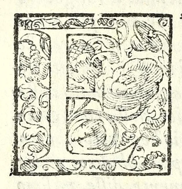 An illustration from I trattenimenti di Scipion Bargagli : dove da vaghe donne e da giouani huomini rappresentati sono honesti e diletteuoli givochi : narrate novelle : e cantate alcune amorose canzonette, 1587, leaf 62